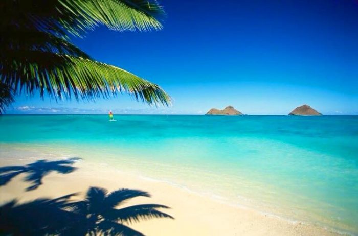全米で一番美しいビーチはどこだ Hawaii Jp