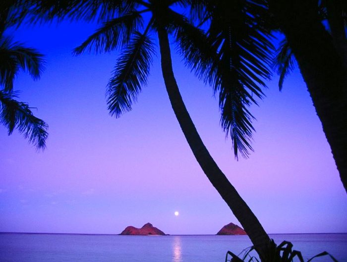 待望のカップル ハワイ 憧れのビーチデートでロマンチックしたい Hawaii Jp