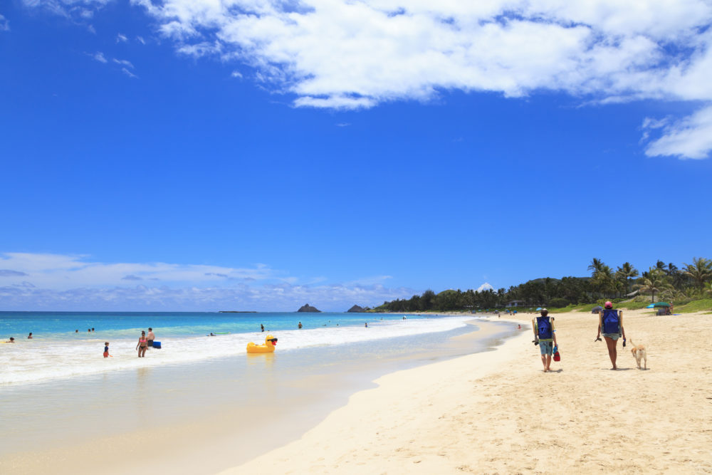 ハワイでワンちゃんと散歩するならココ オススメのビーチ4選 Hawaii Jp